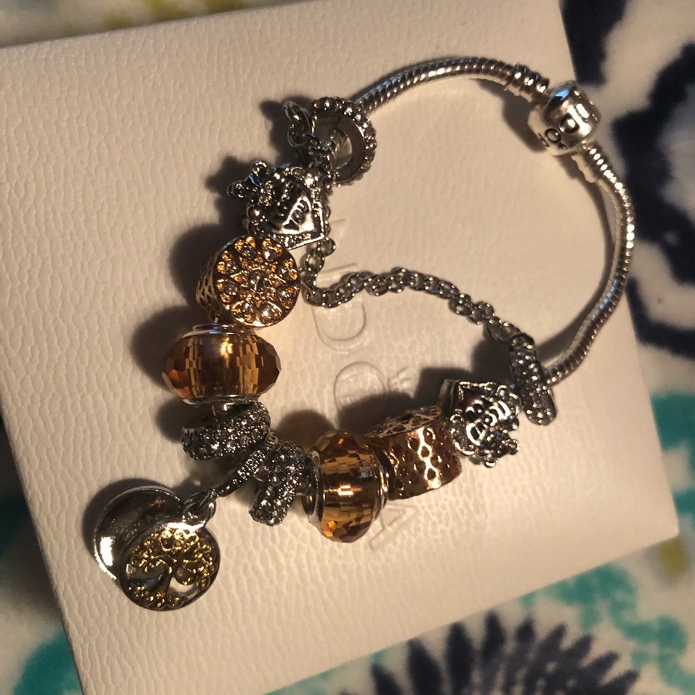 ONLY European ROSE GOLD charms!!!